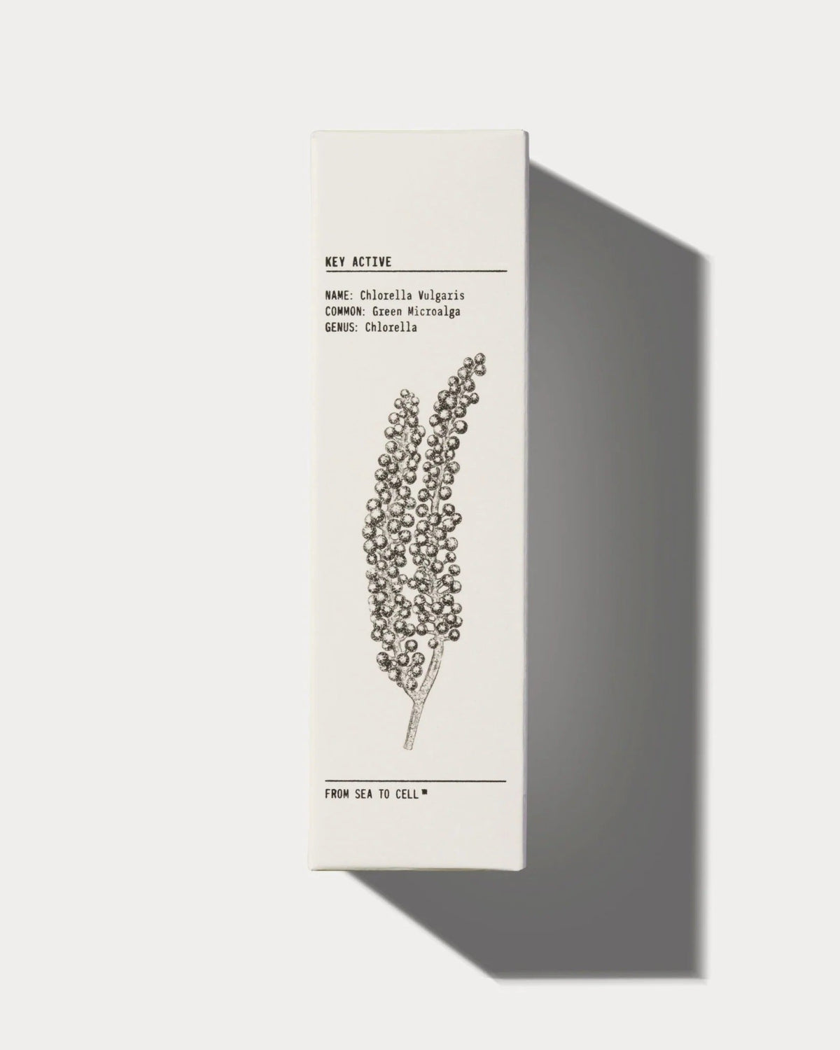 YCODE Mattifying Moisturiser for Men – 50 mL
